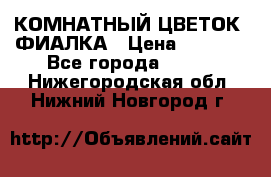 КОМНАТНЫЙ ЦВЕТОК -ФИАЛКА › Цена ­ 1 500 - Все города  »    . Нижегородская обл.,Нижний Новгород г.